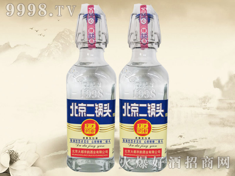 大都京韵北京二锅头酒1998 42°500ml清香型白酒蓝标