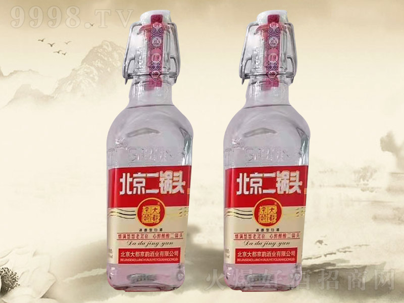 大都京韵北京二锅头酒1998 42°500ml清香型白酒红标